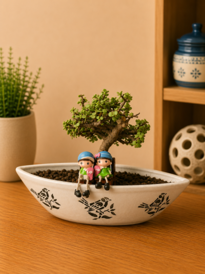 5-Year-Old Mini Jade Bonsai Plant (Portulacaria afra) in Decorative Oval Ceramic Pot