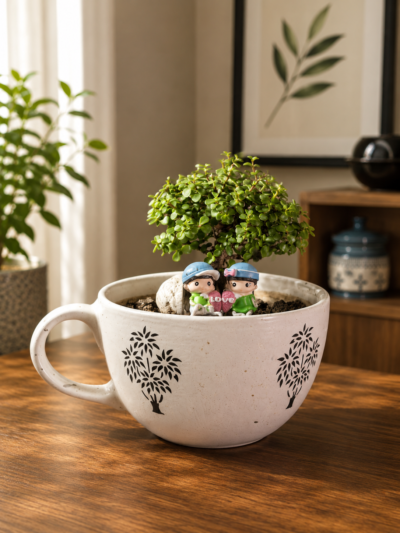 5-Year-Old ESKI Jade Topiary Bonsai Plant (Portulacaria afra) in Premium Ceramic Cup Planter